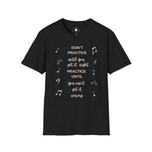 Unisex Softstyle T-Shirt Musical Motivation | Music Student